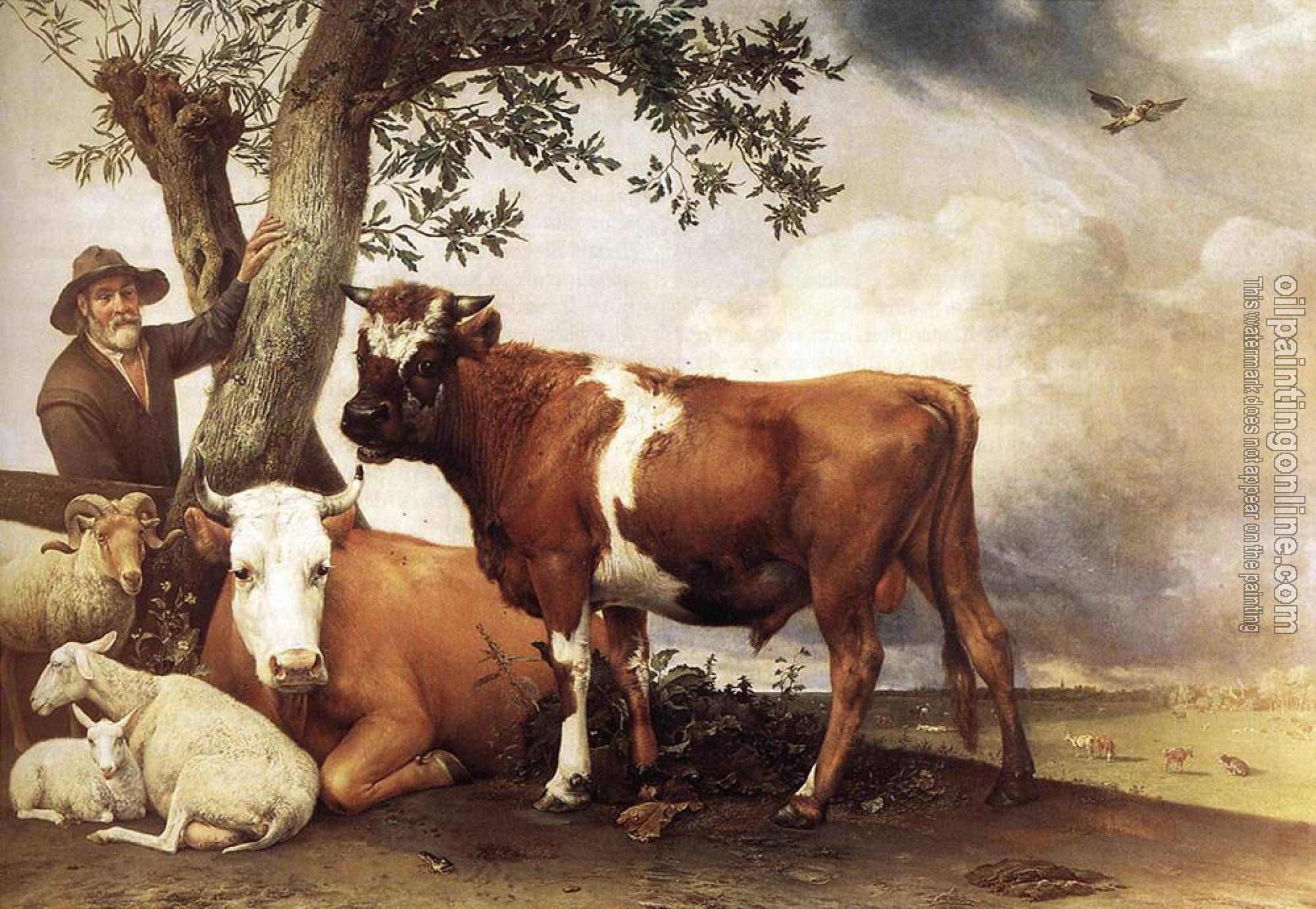 Paulus Potter - Young Bull